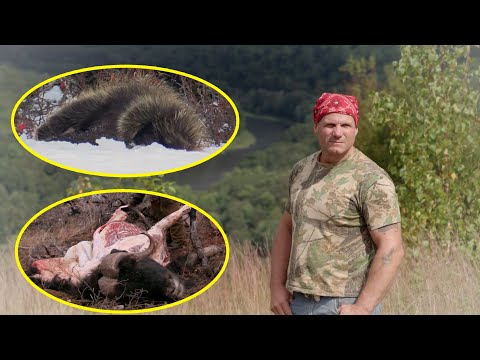 Ten People On A Deserted lsland; Compete for $500,000 Prize.