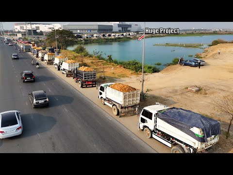 Amazing New Location Start Project !! Team 5T Truck With Skill Dozer Pour Rock Soil Into Water