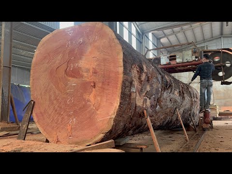 Operating Extra Large Saws | Beautiful Sawing Planks, Extremely Fast Saws, Woodworking Factory Raw