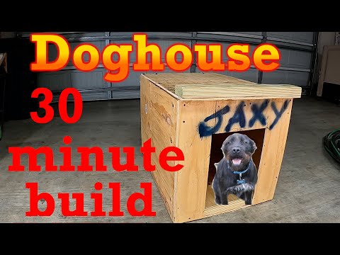 Doghouse -- 30 minute build
