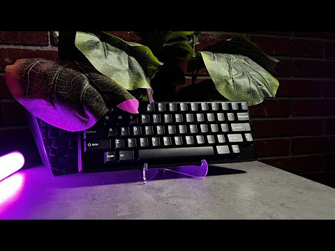 Tokyo60 // Worth the Money?