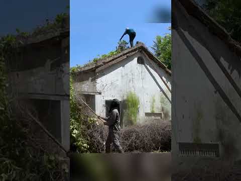 Nature's Takeover to Stunning Home Abandoned House Makeover #short
