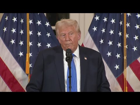 Elon Musk's DOGE access to Treasury records halted by federal judge