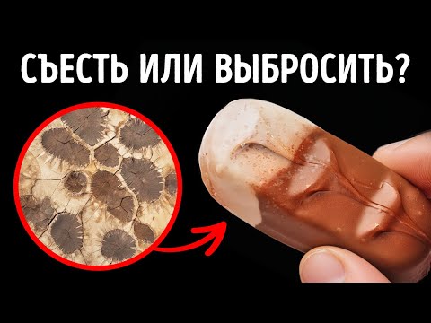 200 интересных фактов для насыщения вашего мозга. Новые знания о знакомых предметах