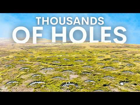 The Simple Way To Rapidly Restore Dead Land