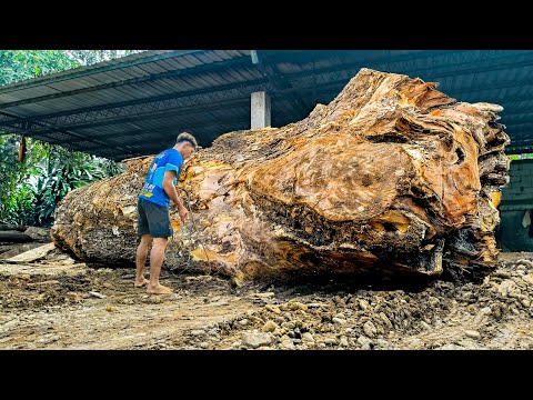 a horrific sight when sawing a log full of crust at a sawmill