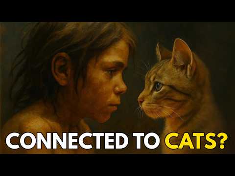 Why Our Brains Are Hardwired To Love Cats: A Prehistoric Story | Before Cities
