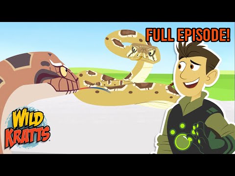 Prairie Who? | Season 3 | Full Episode | Animals for Kids | Wild Kratts