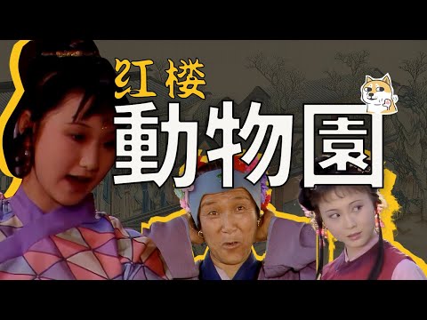 黛玉、寶釵和探春的鄙視鏈：貴族小姐的動物樂園