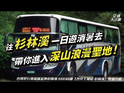 搭公車前往杉林溪！帶你進入深山浪漫聖地｜搭公車旅行趣《6883B 台灣好行溪頭線延駛杉林溪》｜交通大小事