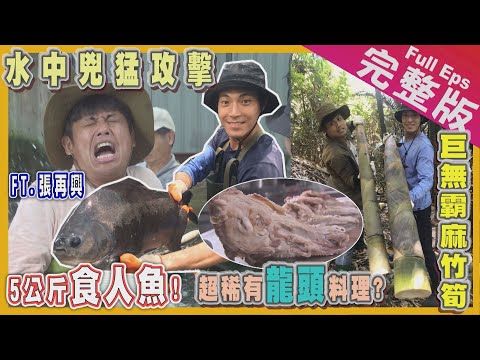 【彰化嘉義】大來賓張再興｜超兇猛食人魚/巨無霸比人高麻竹筍/神秘龍頭料理《世界第一等》1076集 完整版 Taiwan EP. 1076EngSub