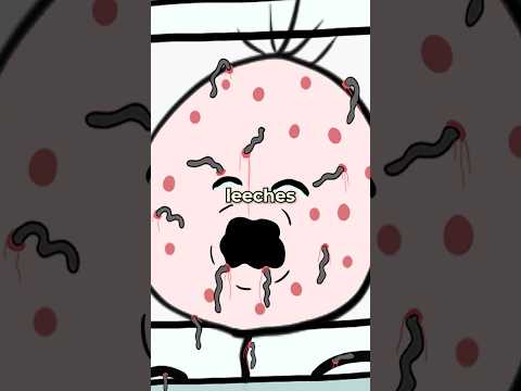 The Leeches 🩸 🐛