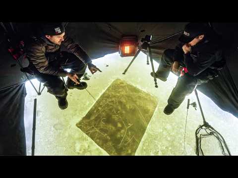 Cook What We Catch! (Sight Fishing)