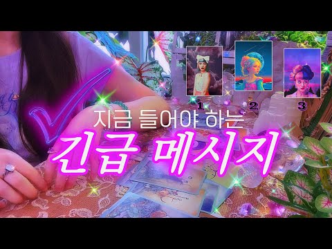 오늘, 지금, 이 순간 당신에게 도착한 긴급 메시지 🔮 타임리스 사이킥 타로 리딩 𓂀✴︎