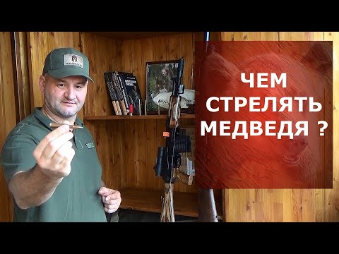 Чем стрелять медведя? Как выбрать оружие и боеприпас?