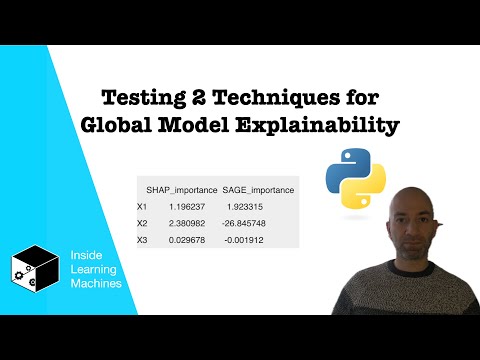 Testing 2 Techniques for Global Model Explainability