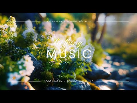 자연 속 평온한 피아노 선율 : 10시간 재생 :(Peaceful Piano Melodies in Nature :10 hours)