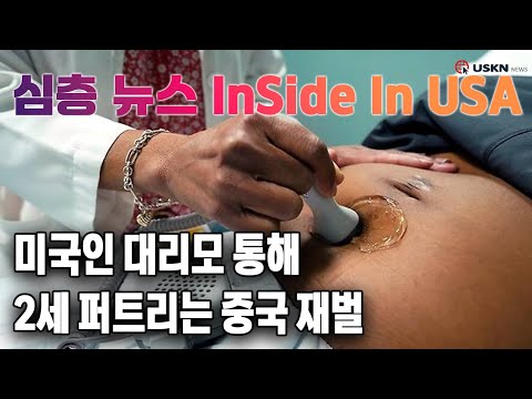 심층분석 미국뉴스 InSideUSA 25년 12월 15일