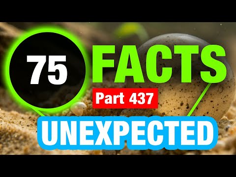 75 Weird Facts | Facts You Can’t Miss