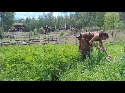Hay Harvest, First Vegetables & Duckling Guardian – Off grid Homestead Diary: July p1