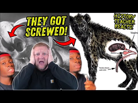 Casual Geographic's MOST VIEWED Video | Animals that Got the Middle Finger from Evolution