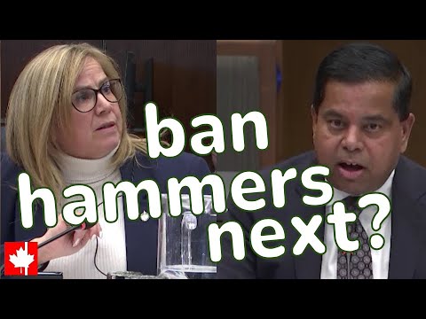 CONFISCATE HAMMERS NEXT? Public safety minister faces FIERY questioning on gun policy failure!
