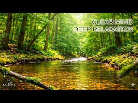 Instant Calm Study Focus Relax Sleep Sounds Rain Window for Mind Medicine 🌧️🧠