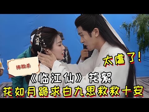 《临江仙》花絮，花如月跪求白九思救救十安，太虐了！
