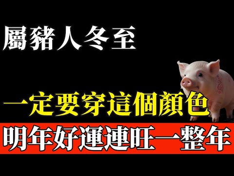 12月21號冬至，屬豬人一定要穿這個顏色，讓明年你鴻運當頭，好運連旺一整年！【般若之音】#生肖 #運勢 #風水 #財運#命理