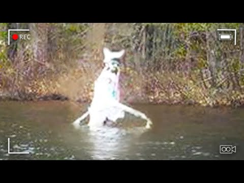 Drone Footage Exposes Killer's Horrifying Secret