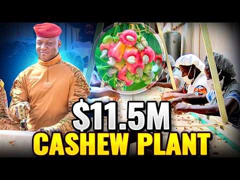 Waste To Weapon! $11.5M Cashew Plant in Burkina Faso