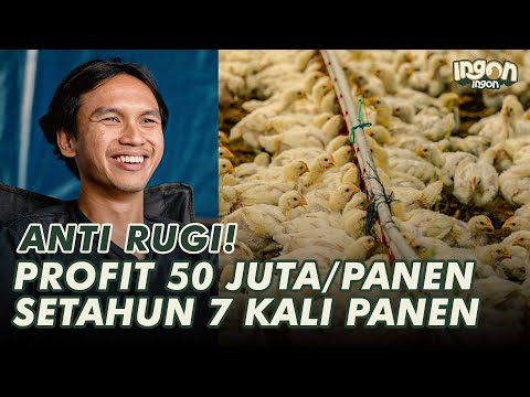Usia 28 Tahun Sukses, Optimalkan Nutrisi & Performa Ayam Broiler untuk Keuntungan Maksimal!