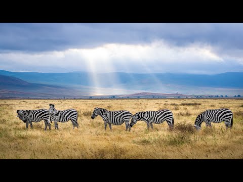 Flying Over South Africa With Relaxing Music | Beautiful Piano & Guitar Music