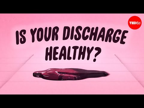 What is vaginal discharge, and what does it say about your health? - Elizabeth Micks