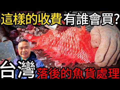 台灣漁獲處理到底多落後?丨這樣的處理費誰會買單嗎?丨台東富岡漁港裡小眾的賣魚模式丨鳳梨魚-日本骨鱗魚