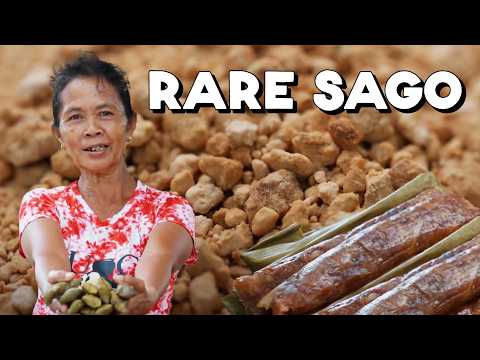 Rare Tapioca from the Philippines (Landang aka Native Sago)
