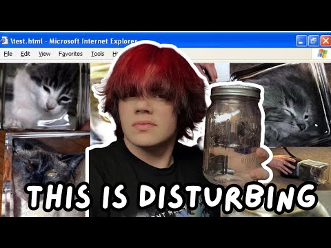 What Were The Disturbing Bonsai Kittens?