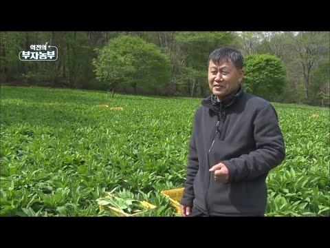[94회] 산나물(명이나물)로 연매출 1억!