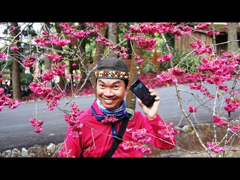 真情旅歷 Inside Travel—林龍：歡喜鬥陣來 〈邀你一起環遊世界〉