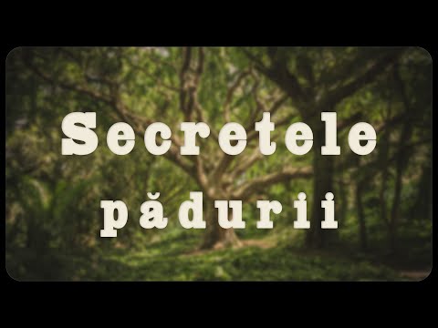 Secretele pădurii
