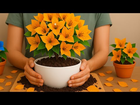 Just use a banana peel - bougainvillea cuttings will root overnight!
