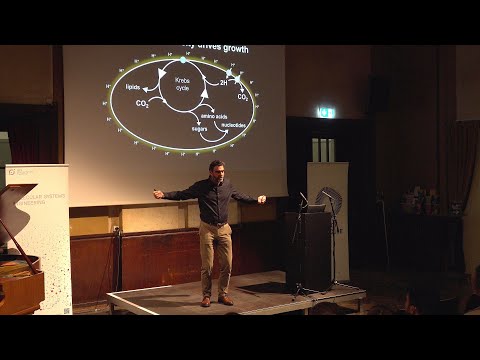 Nick Lane: The electrical origins of life