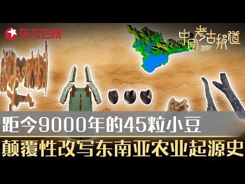 距今9000年前的45粒小豆曝出惊天秘密！颠覆性改写东南亚农业起源史！#中国考古报道 FULL