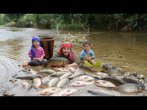 How to catch fish, trap giant river fish along with a small son to sell - Cooking food for piglets