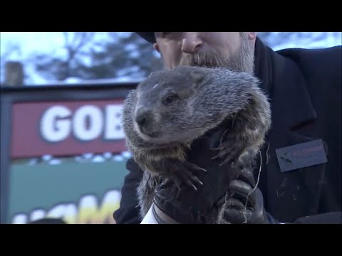 Groundhog Day 2021 Prediction: Punxsutawney Phil sees his shadow