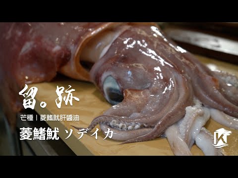 留。跡｜EP38 上－芒種：菱鰭魷 ソデイカ 菱鰭魷肝醬油