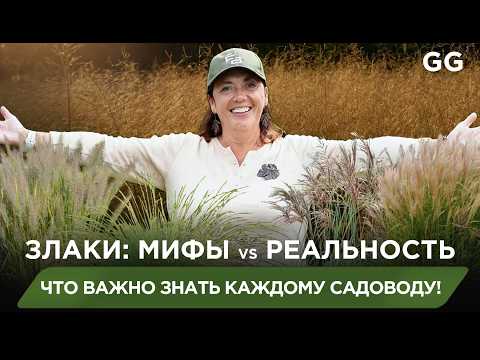 TOP unusual cereals: for those who want to surprise