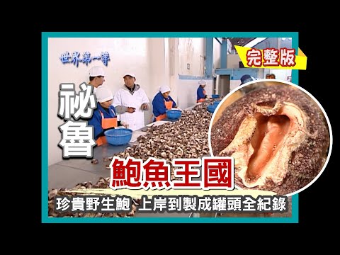 【祕魯】鮑魚王國 （珍貴野生鮑樂可思 罐頭製作過程大揭密）｜《世界第一等》184集小馬完整版