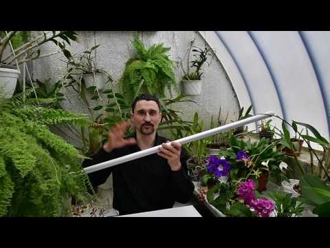 Об искусственном освещении растений