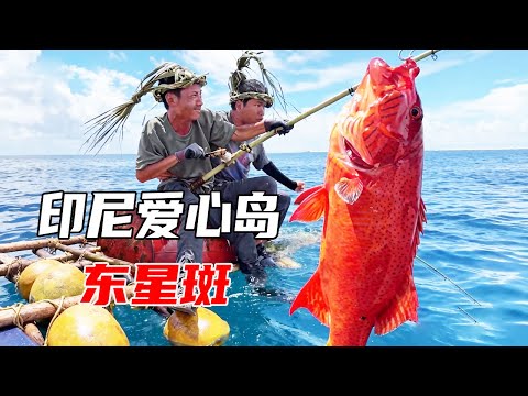 新爱尔兰荒岛生存挑战全集：珊瑚礁附近钓到东星斑，想抓传说中上百斤的金枪鱼，可惜附近鲨鱼太多没实现【户外平头哥】